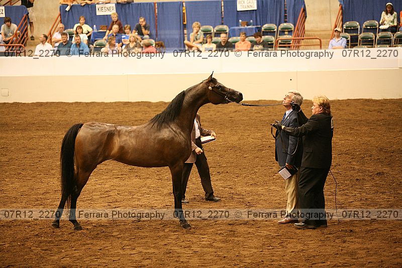 Proof 07r12_2270