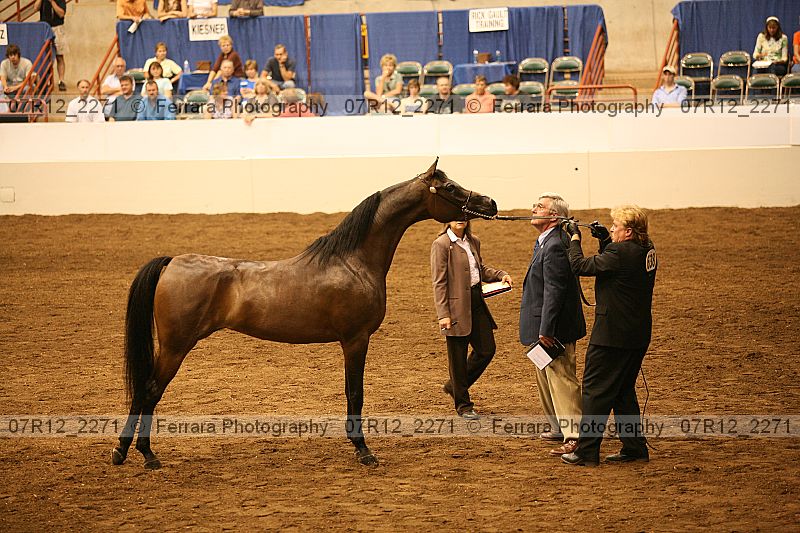 Proof 07r12_2271