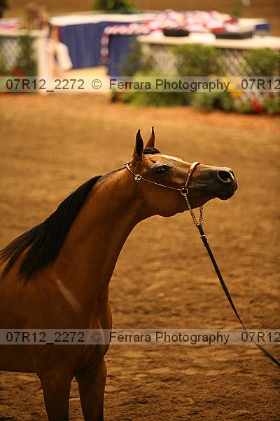 Proof 07r12_2272