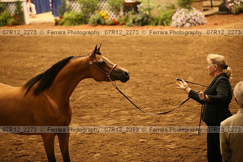 Proof 07r12_2273