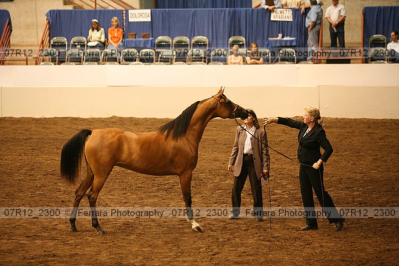 Proof 07r12_2300