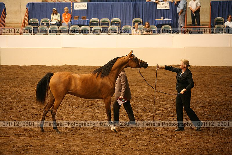 Proof 07r12_2301