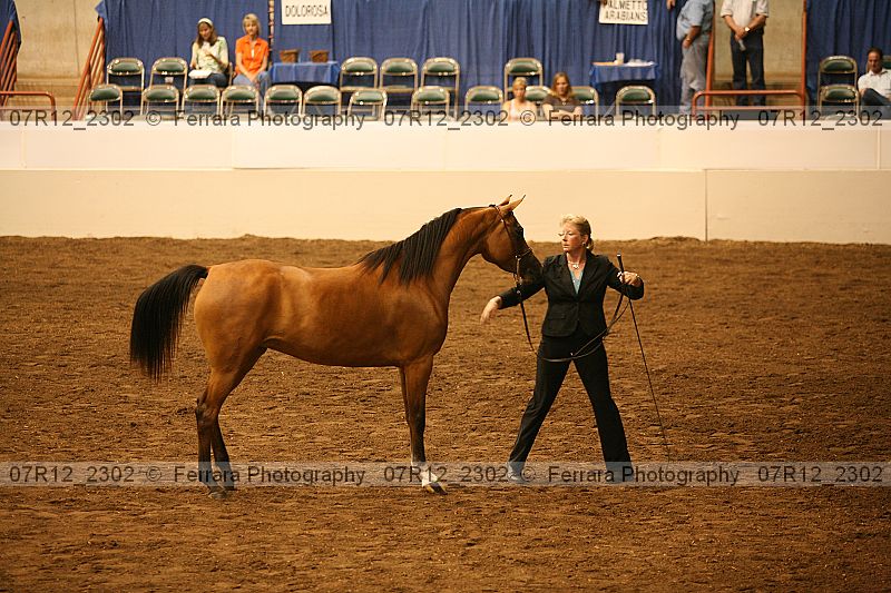 Proof 07r12_2302