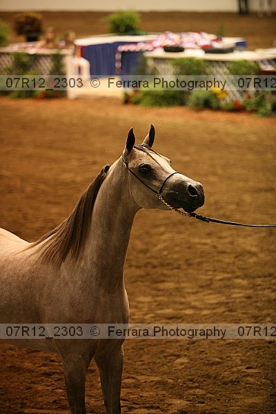 Proof 07r12_2303
