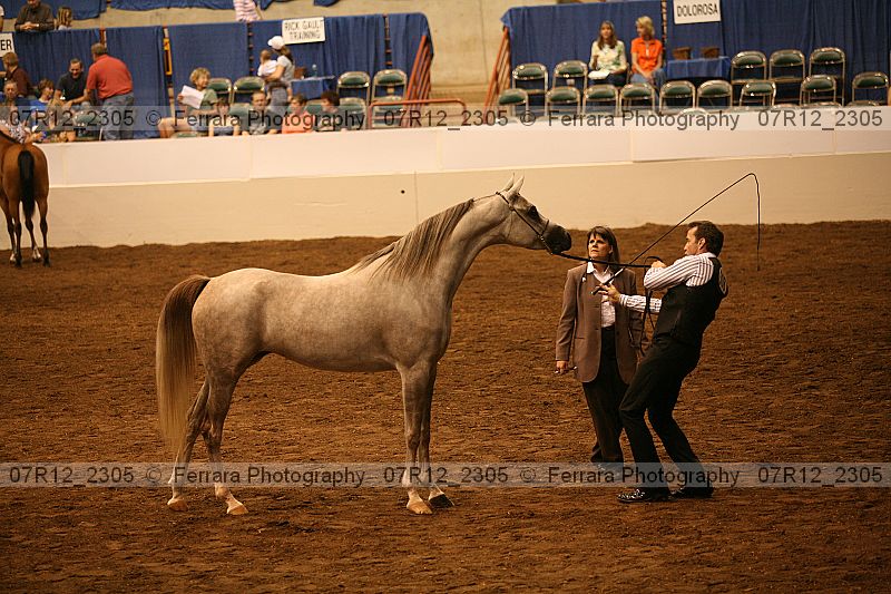 Proof 07r12_2305