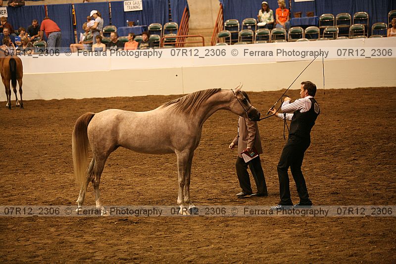 Proof 07r12_2306