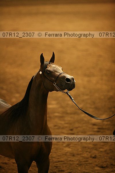 Proof 07r12_2307