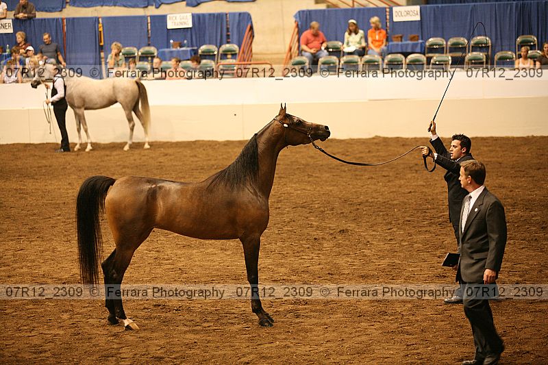 Proof 07r12_2309
