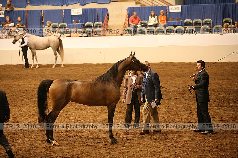 Proof 07r12_2310