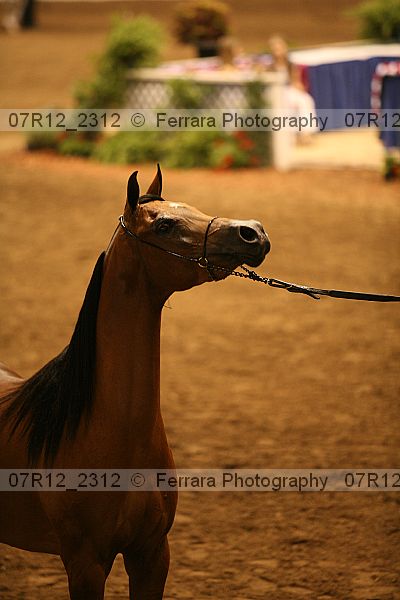 Proof 07r12_2312