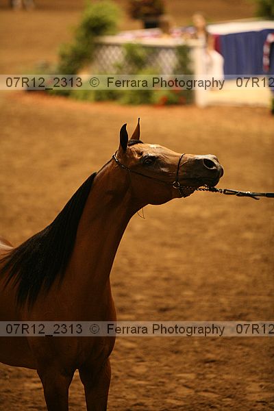 Proof 07r12_2313