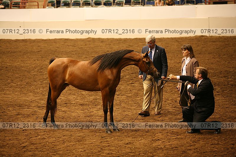 Proof 07r12_2316