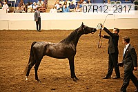 07r12_2317 proof