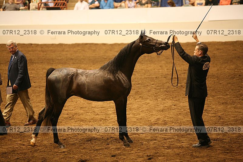 Proof 07r12_2318