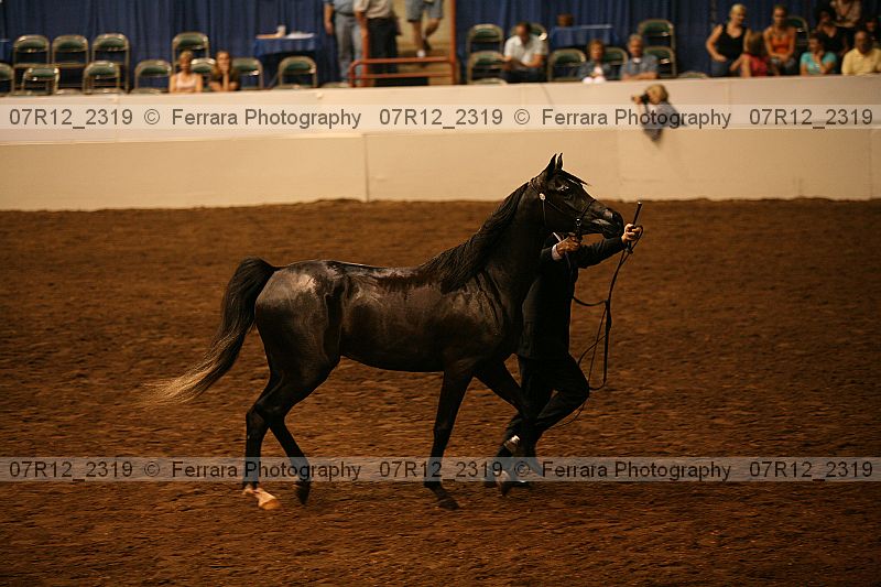 Proof 07r12_2319