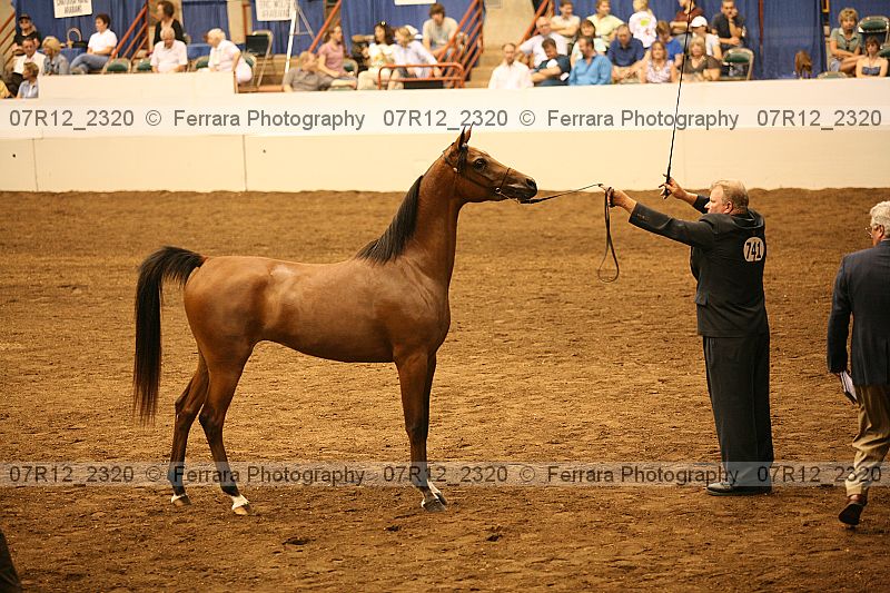 Proof 07r12_2320