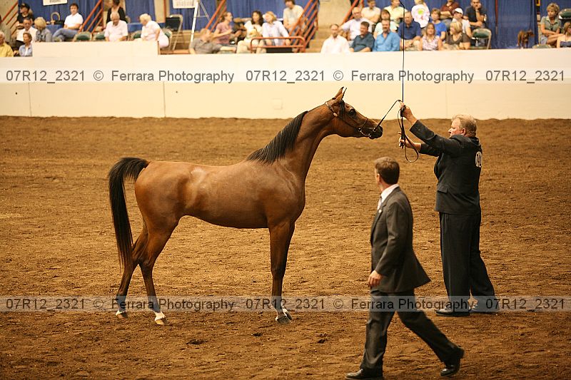 Proof 07r12_2321