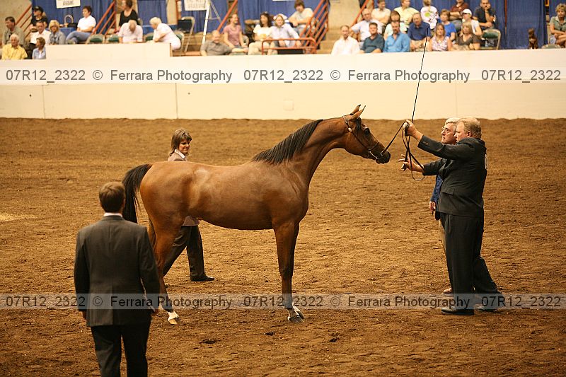 Proof 07r12_2322