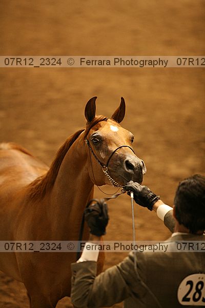 Proof 07r12_2324