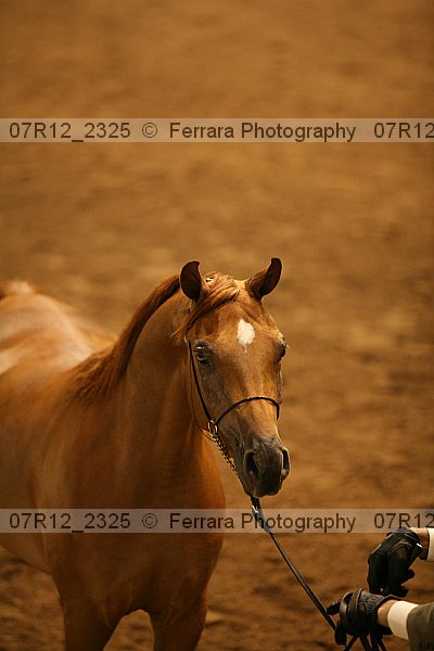 Proof 07r12_2325