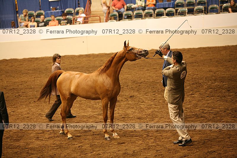Proof 07r12_2328