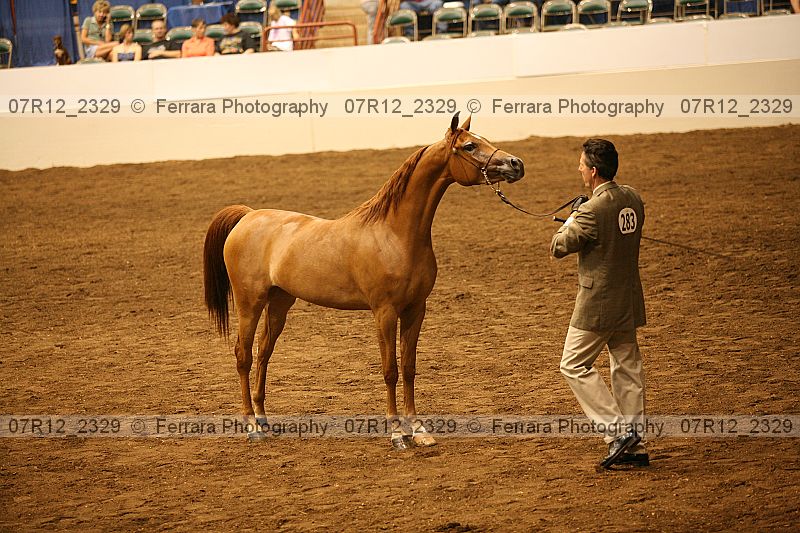 Proof 07r12_2329