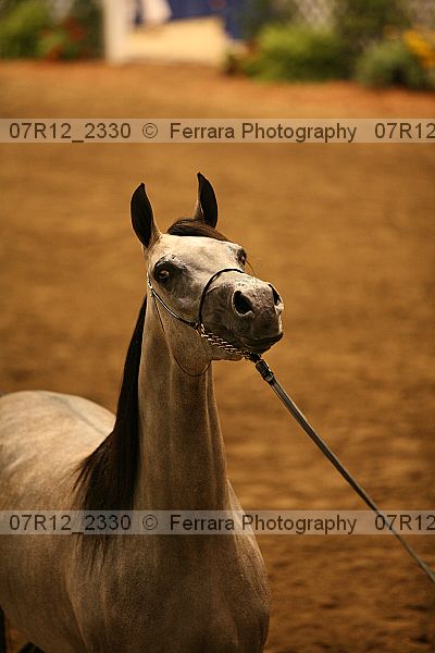 Proof 07r12_2330