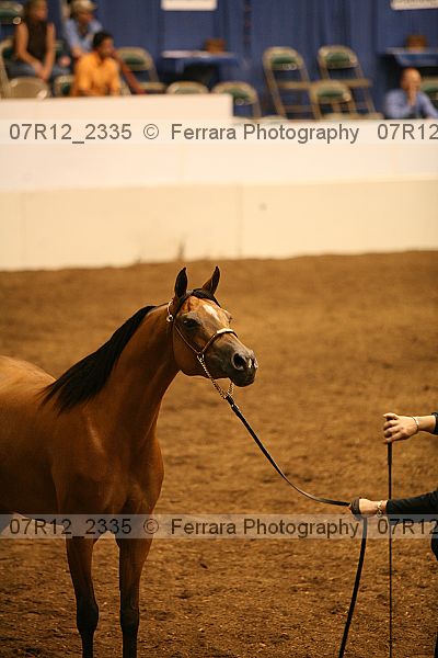 Proof 07r12_2335