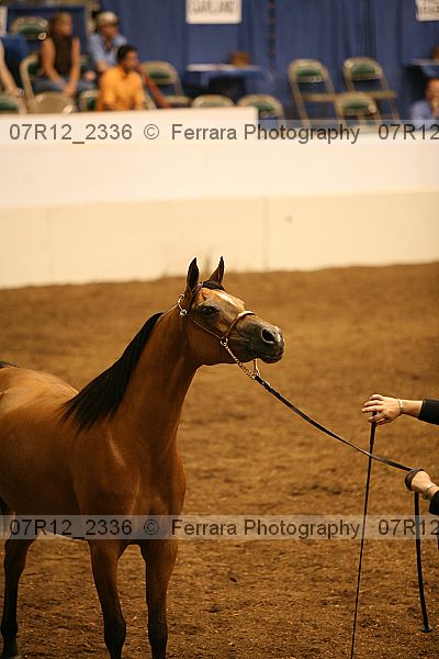 Proof 07r12_2336