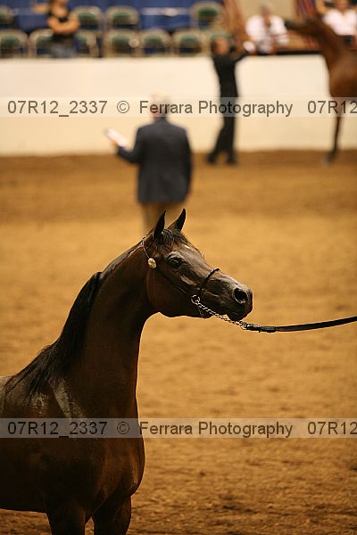 Proof 07r12_2337