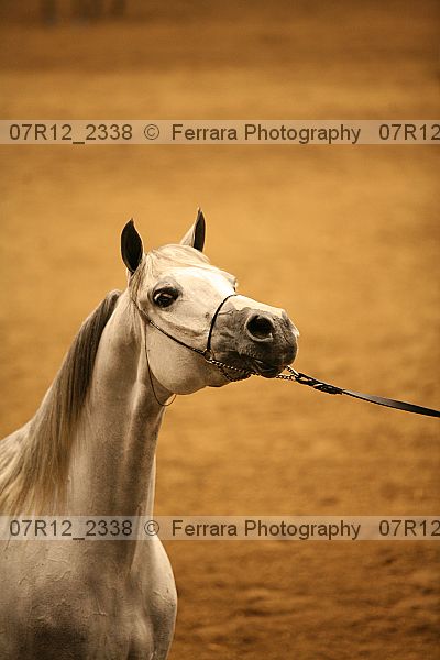 Proof 07r12_2338