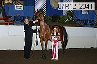 07r12_2341 proof