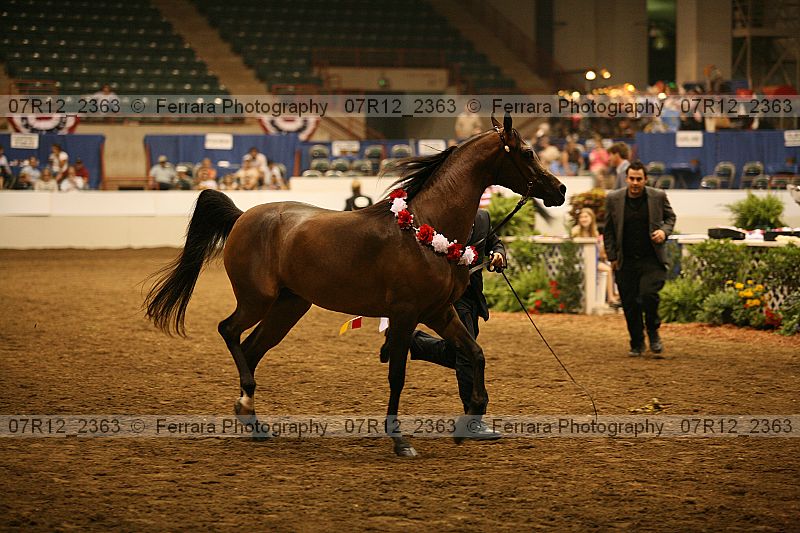 Proof 07r12_2363