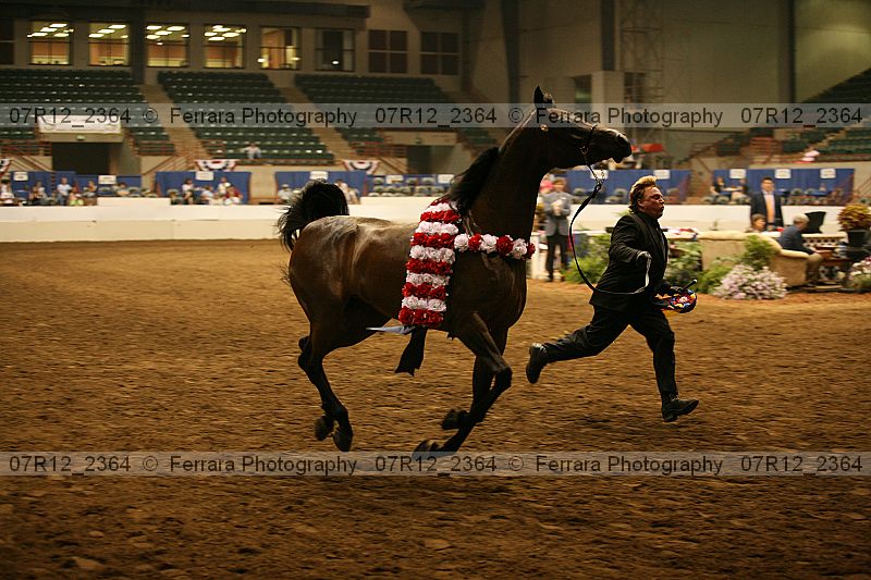 Proof 07r12_2364