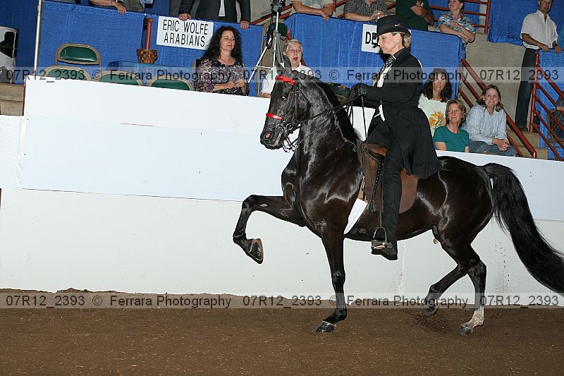 Proof 07r12_2393