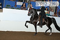 07r12_2393 proof