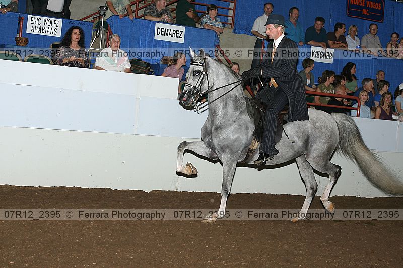 Proof 07r12_2395