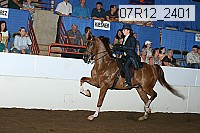 07r12_2401 proof