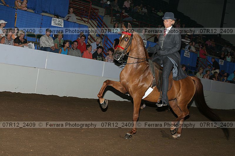 Proof 07r12_2409
