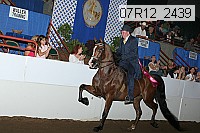 07r12_2439 proof