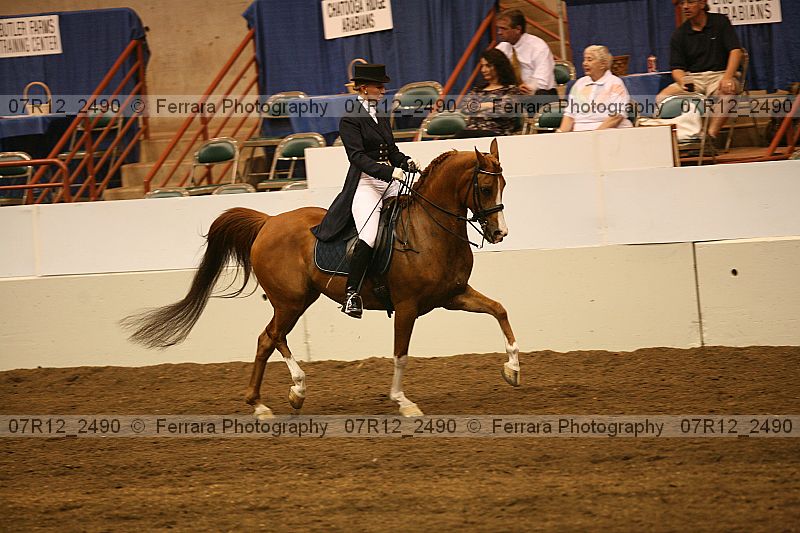 Proof 07r12_2490