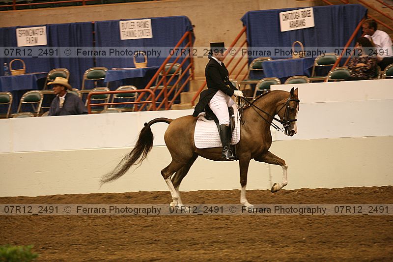 Proof 07r12_2491