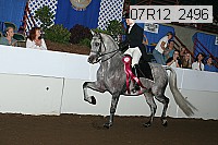 07r12_2496 proof