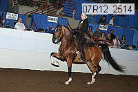 07r12_2514 proof