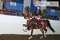 07r12_2533 proof