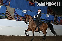 07r12_2541 proof