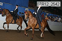07r12_2542 proof