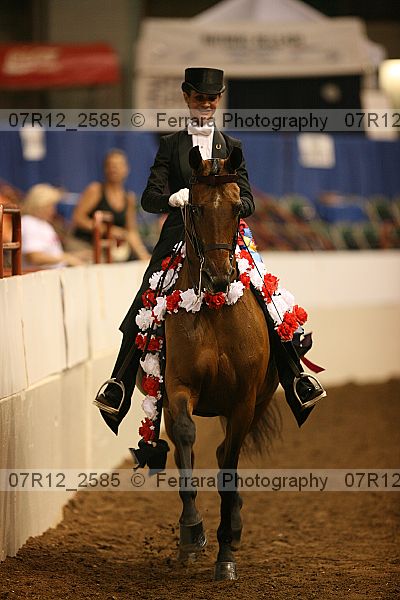 Proof 07r12_2585