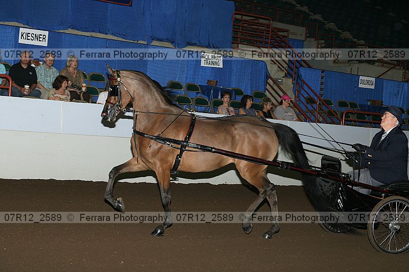Proof 07r12_2589