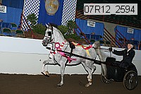 07r12_2594 proof